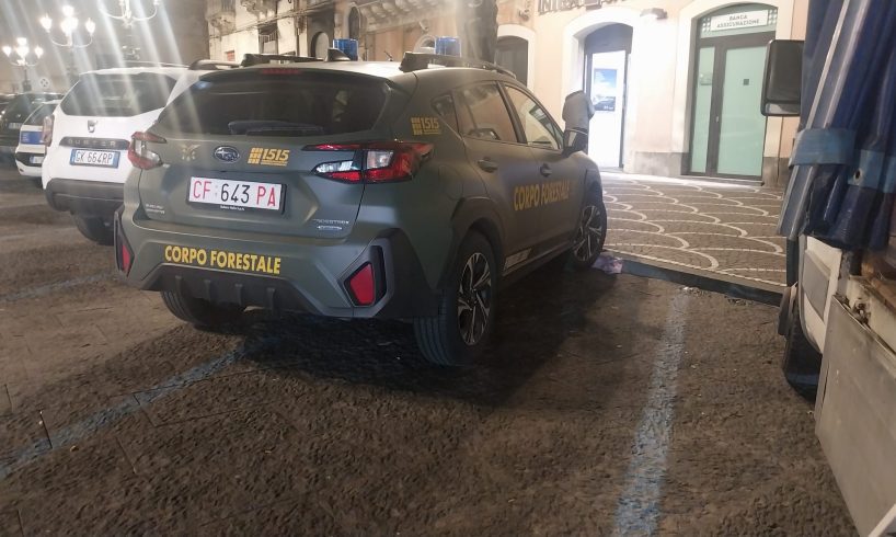 Paternò, controlli interforze in un locale etnico: intervento di Corpo Forestale, Polizia Municipale, Asp e Vigili del fuoco