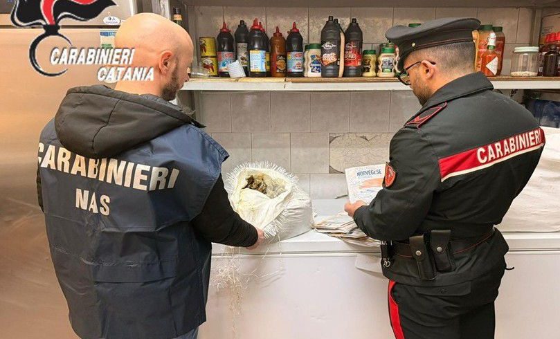 Catania, cibo scaduto e senza tracciabilità: sanzione di 3500 euro a titolare di una panineria