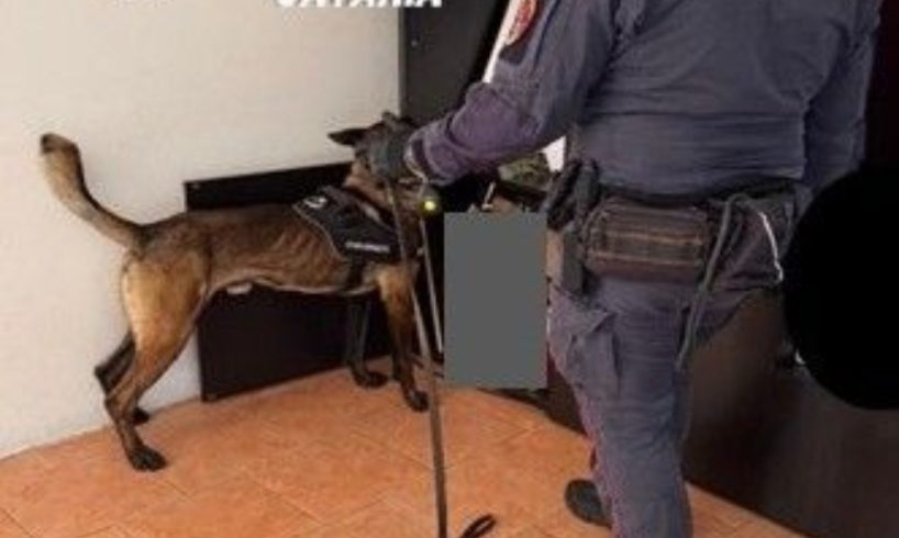 Belpasso, lancia borsa con cocaina dal balcone: arrestato 18enne