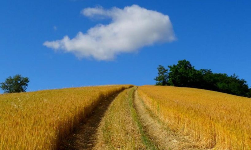 Tramonti e albe, mani strette e leggende narrate: perché vale la pena percorrere la propria strada