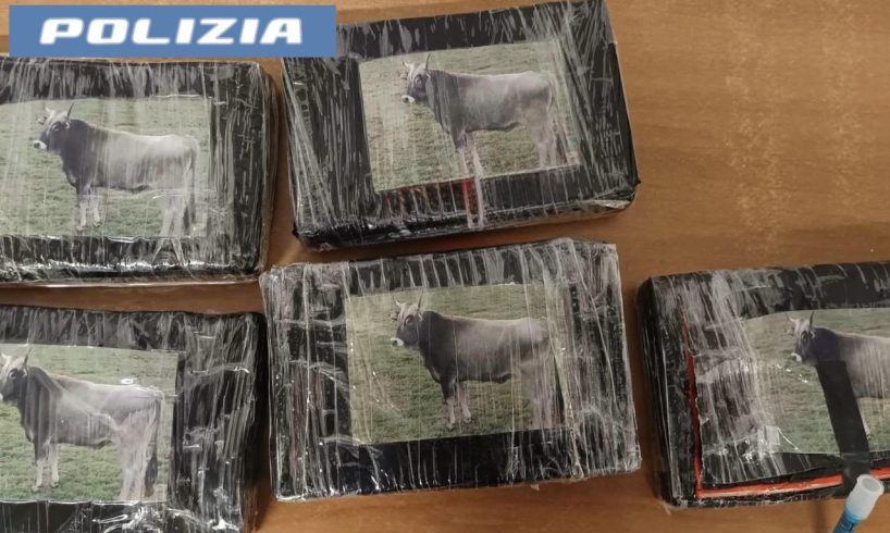 Catania, 5 kg di cocaina nascosti nell’auto rubata: sequestro da 400mila euro vicino allo stadio Massimino