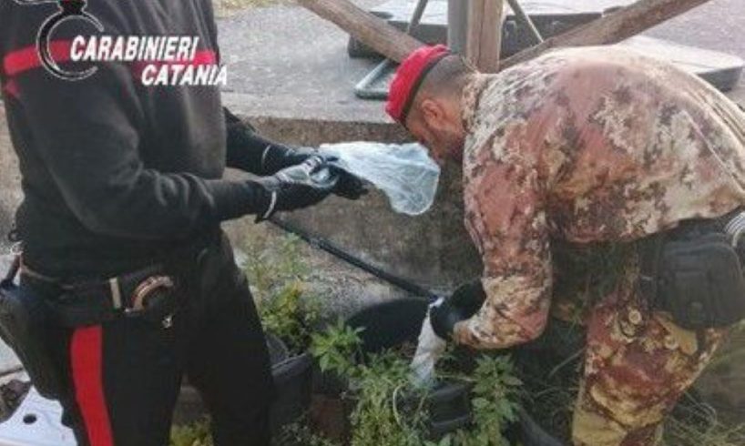 Paternò, 46enne lancia droga dal balcone ma viene arrestato: sequestrati quasi 600 g tra crack e cocaina