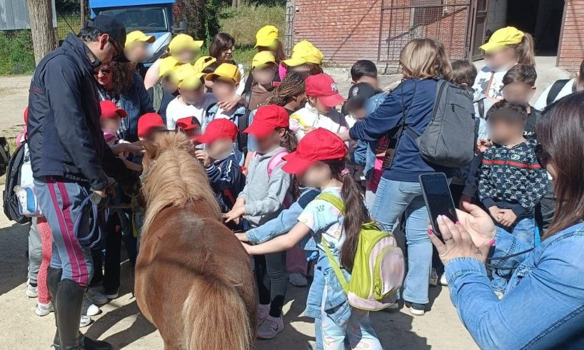 Catania, un mattino nel Boschetto della Playa: i bambini della “Rita Atria” incontrano i cavalli e i cani della Polizia