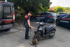 Paternò, cane antidroga trova 16 g di marijuana nel sellino di uno scooter: 25enne denunciato