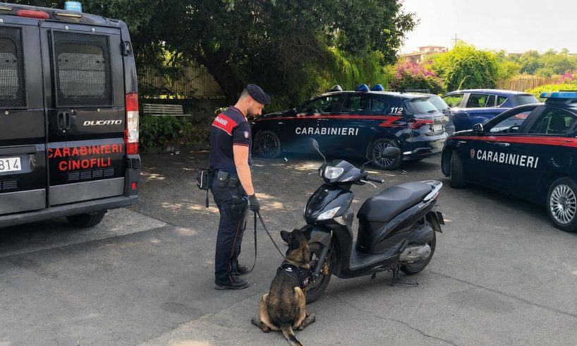 Paternò, cane antidroga trova 16 g di marijuana nel sellino di uno scooter: 25enne denunciato