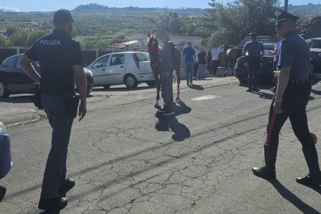 Paternò e Adrano, corse clandestine di cavalli nel mirino: due animali sequestrati, multe fino a 6.500 euro