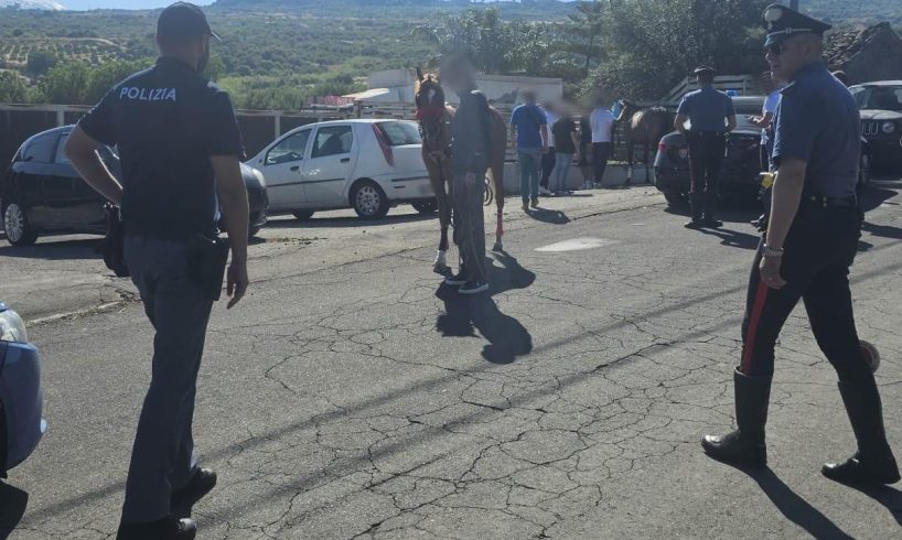 Paternò e Adrano, corse clandestine di cavalli nel mirino: due animali sequestrati, multe fino a 6.500 euro
