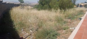 Degrado totale ai cimiteri di Paternò, croci di neonati sommerse da sterpaglie e immondizia