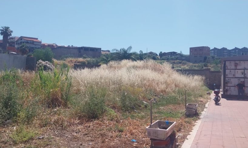 Degrado totale ai cimiteri di Paternò, croci di neonati sommerse da sterpaglie e immondizia