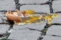 Catania indecente: studenti “festeggiano” con uova, vernice e insulti alle forze dell’ordine