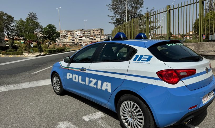 Catania, cane poliziotto scopre nascondiglio di droga: maxi sequestro da 11 chili (VIDEO)