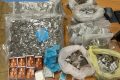 Catania, puzzava di marijuana in tutta la strada: scoperto "supermarket" della droga in soggiorno. Aarrestato 21enne a Picanello