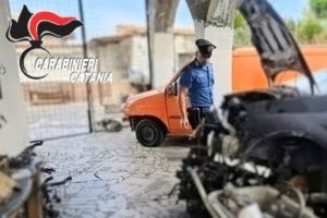 Belpasso, scoperta officina abusiva: denunciato 37enne. Sequestrato cavallo senza microchip