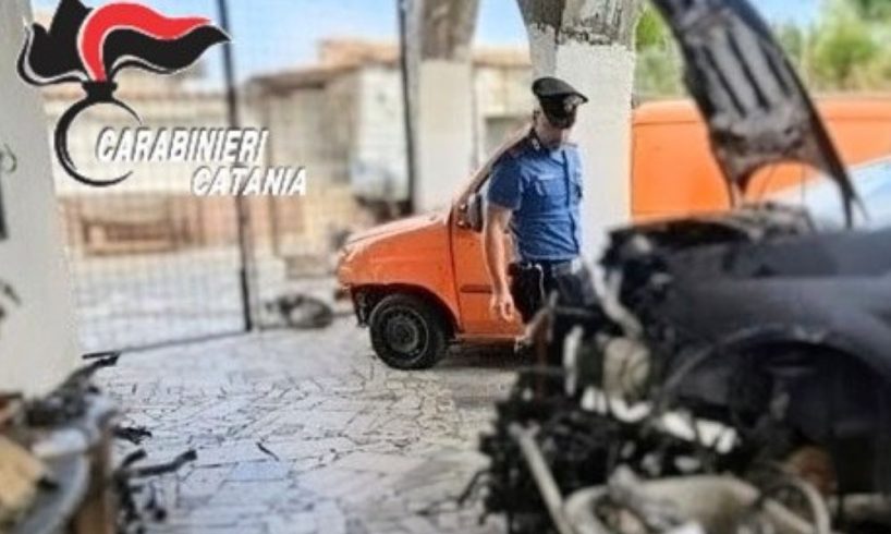 Belpasso, scoperta officina abusiva: denunciato 37enne. Sequestrato cavallo senza microchip