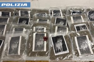 Catania, segnalazione di un cittadino al 112: sequestrati 20 kg di marijuana a Vaccarizzo