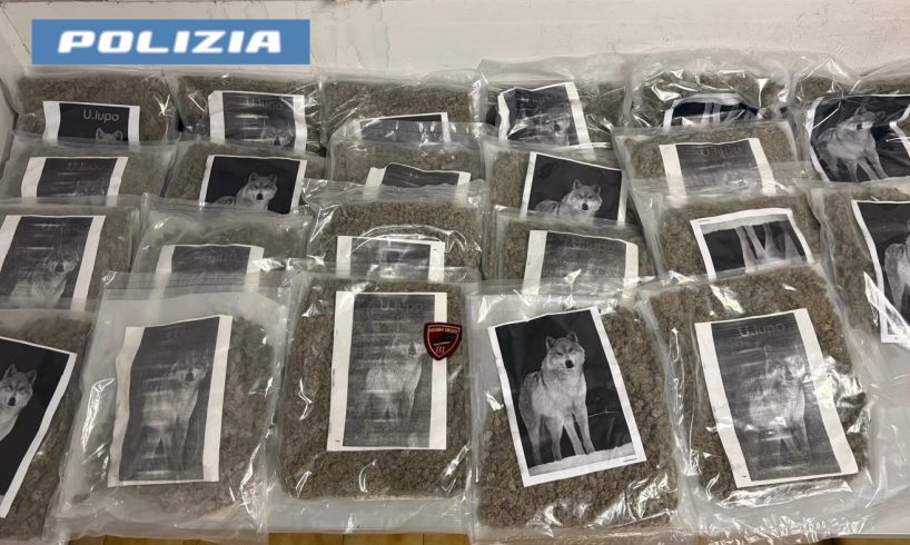 Catania, segnalazione di un cittadino al 112: sequestrati 20 kg di marijuana a Vaccarizzo