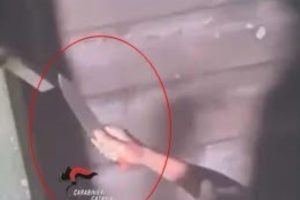 Lite tra condomini a Motta Sant'Anastasia, 38enne afferra un coltellaccio e ferisce una vicina: arrestata per tentato omicidio