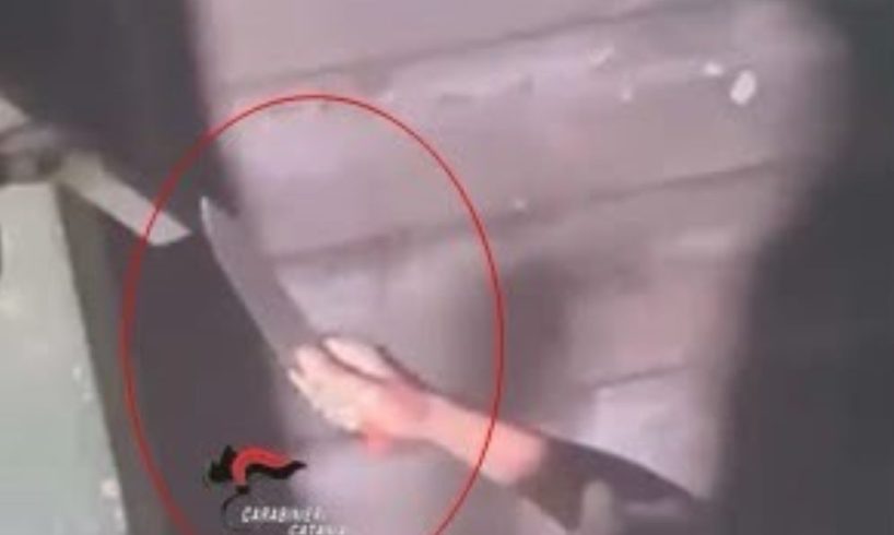 Lite tra condomini a Motta Sant'Anastasia, 38enne afferra un coltellaccio e ferisce una vicina: arrestata per tentato omicidio
