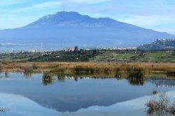 Paternò, la città che si è dimenticata di sognare