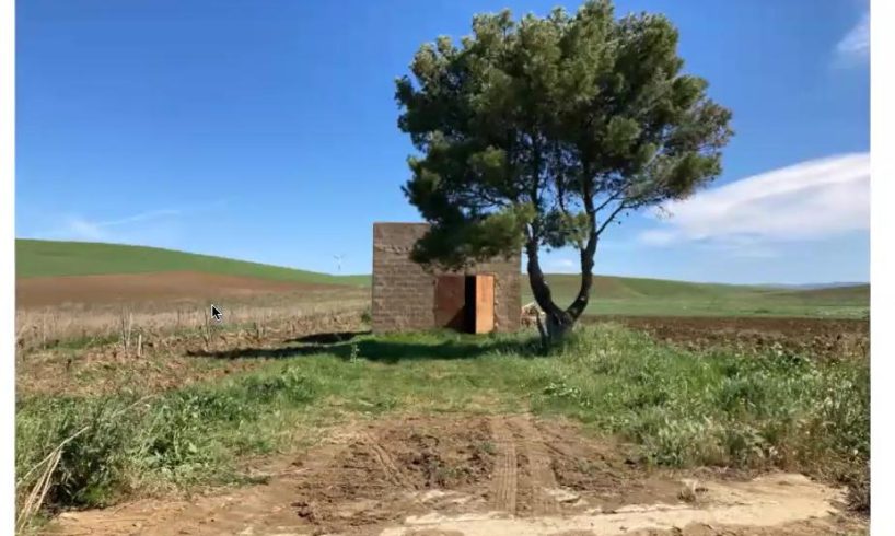 Il fiore e la polvere: Paternò, gli stagionali e il paradosso di una comunità supplente