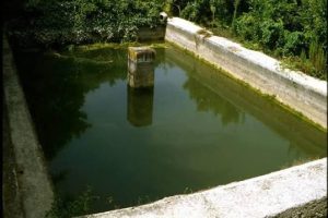 Annegato in un invaso privato: anziano muore a Bronte