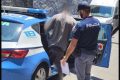 Catania, ubriaco in strada aggredisce medici e poliziotti al Pronto Soccorso: 25enne arrestato